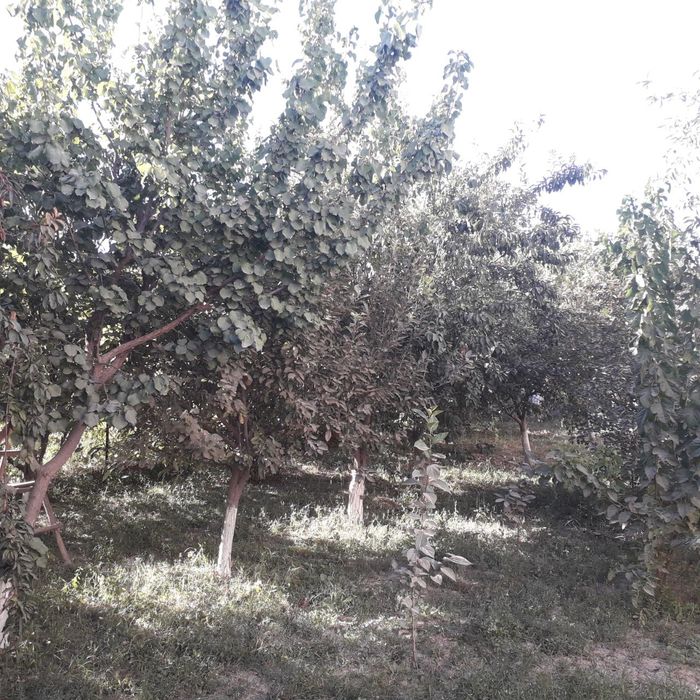 Продаётся дом 5 соток