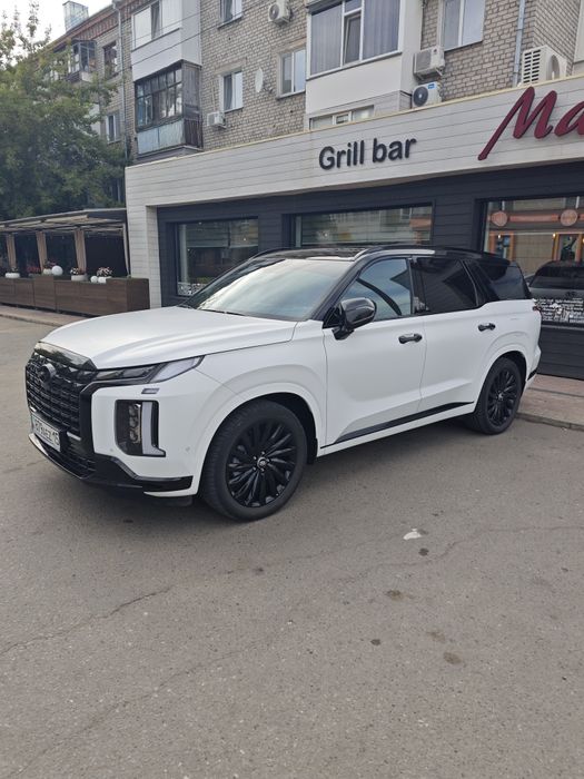 Hyundai Palisade Calligraphy