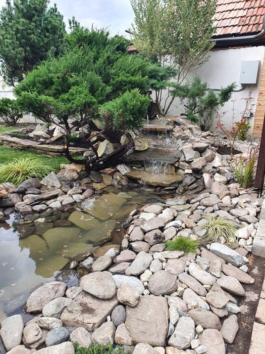 Gazon Rulou  / Amenajări Grădini