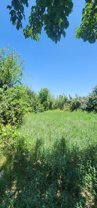 Продаётся дачный участок