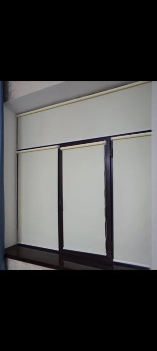 Жалюзи. Ролл шторы. День и ночь