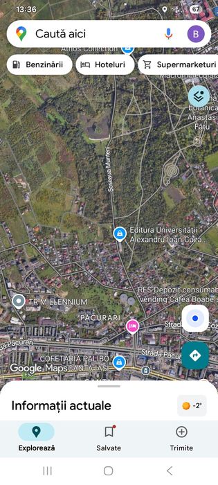 Teren copou ( Gradina Botanica )