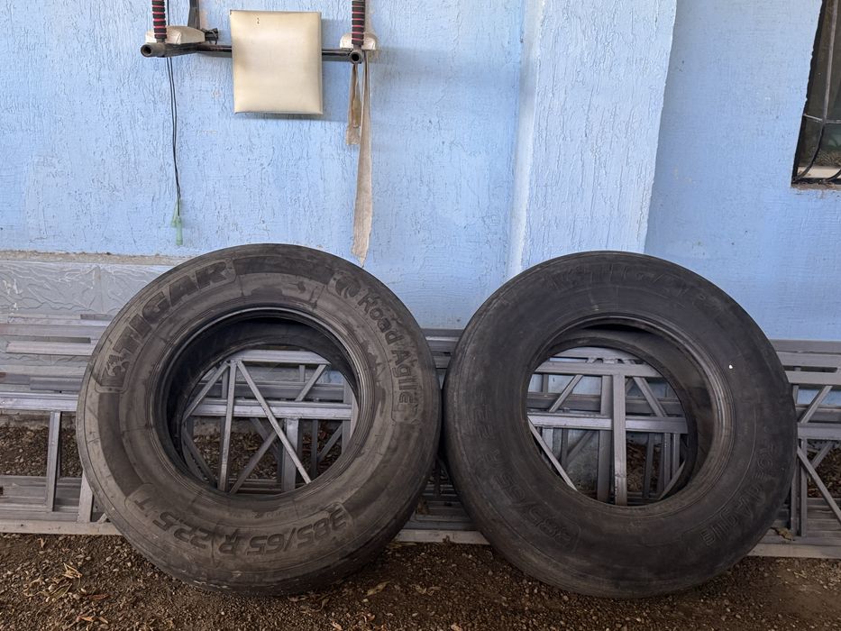 385/65/22.5 грузовые шины