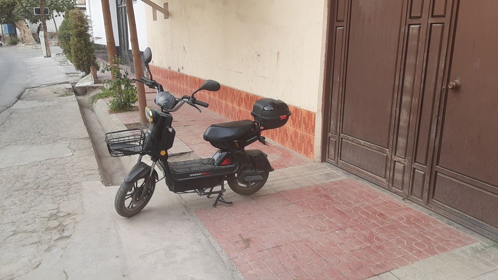 Drongo yaxshi holatda