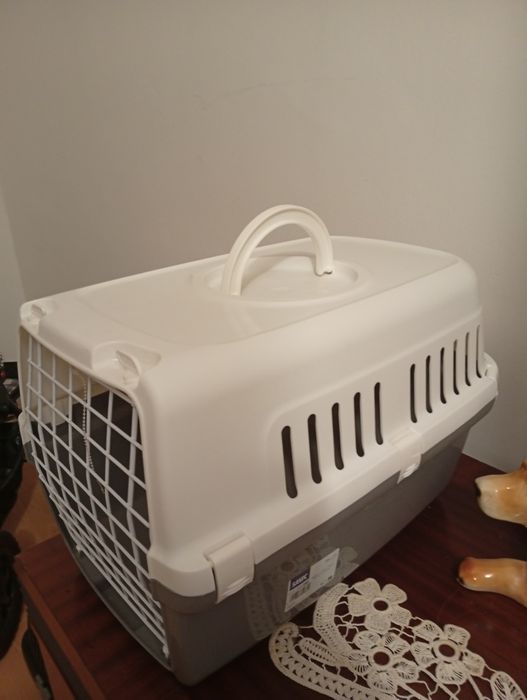 Cusca transport pisici