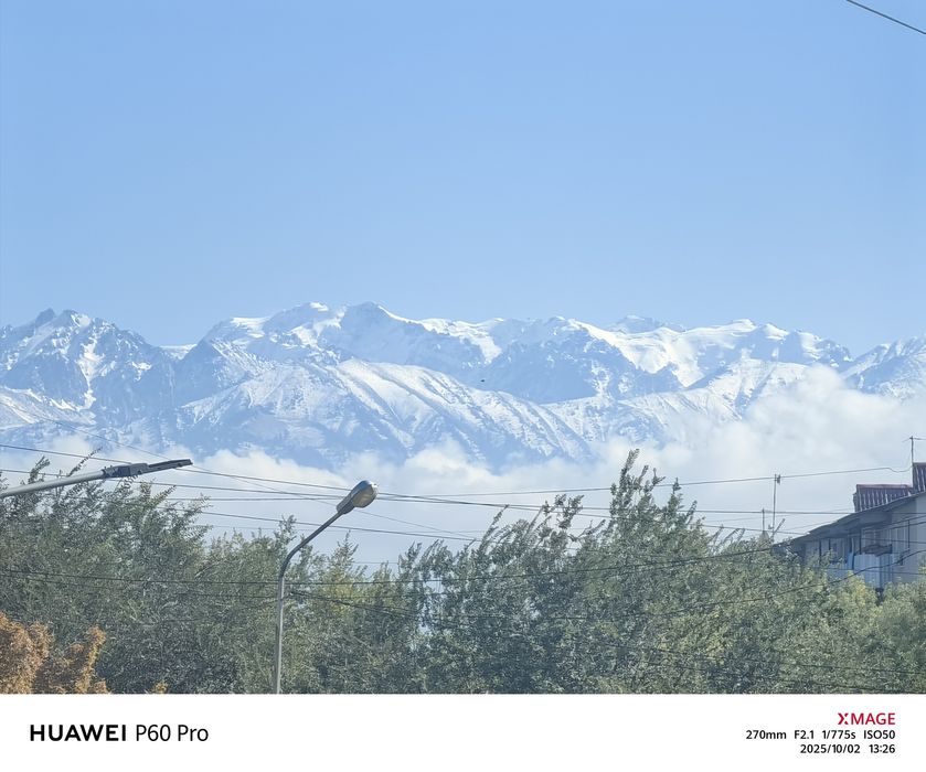 Huawei p60pro торг