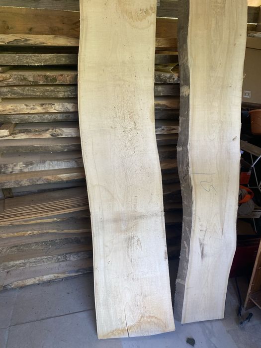 scândura din paltin de munte