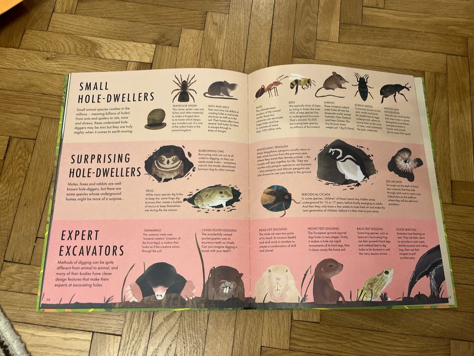 Set 2 cărți pentru copii - curiozități și imaginație