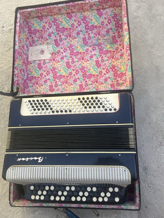 Музыкальный инструменть  Баянь «Восток»