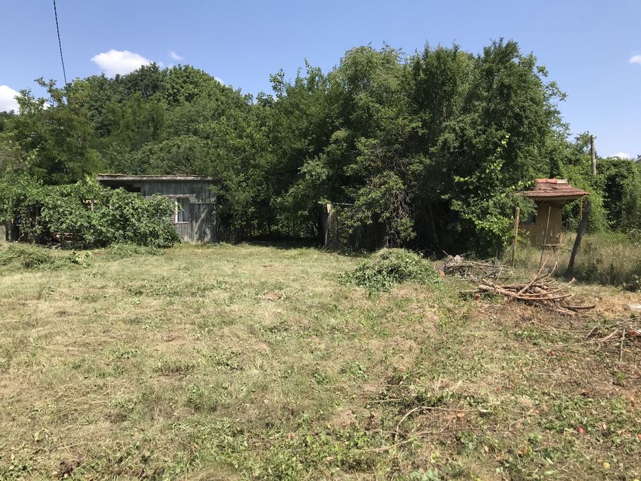 Резитба на овощни градини /озеленяване