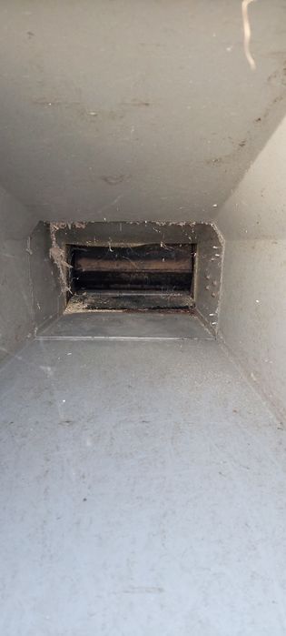 Tocatoare crengi,resturi vegetale