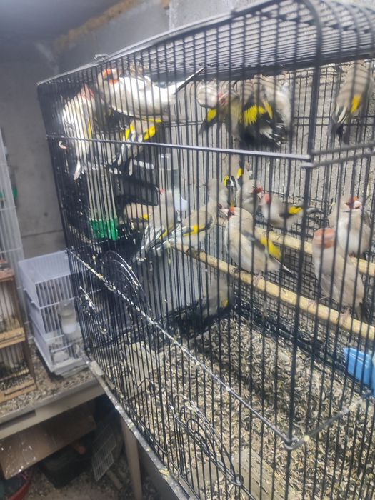 ПРОДАМ СРОЧНО  зимники и летники