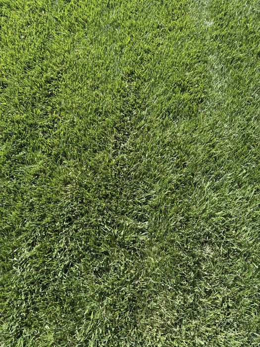 Газон установка хизмати полив установка