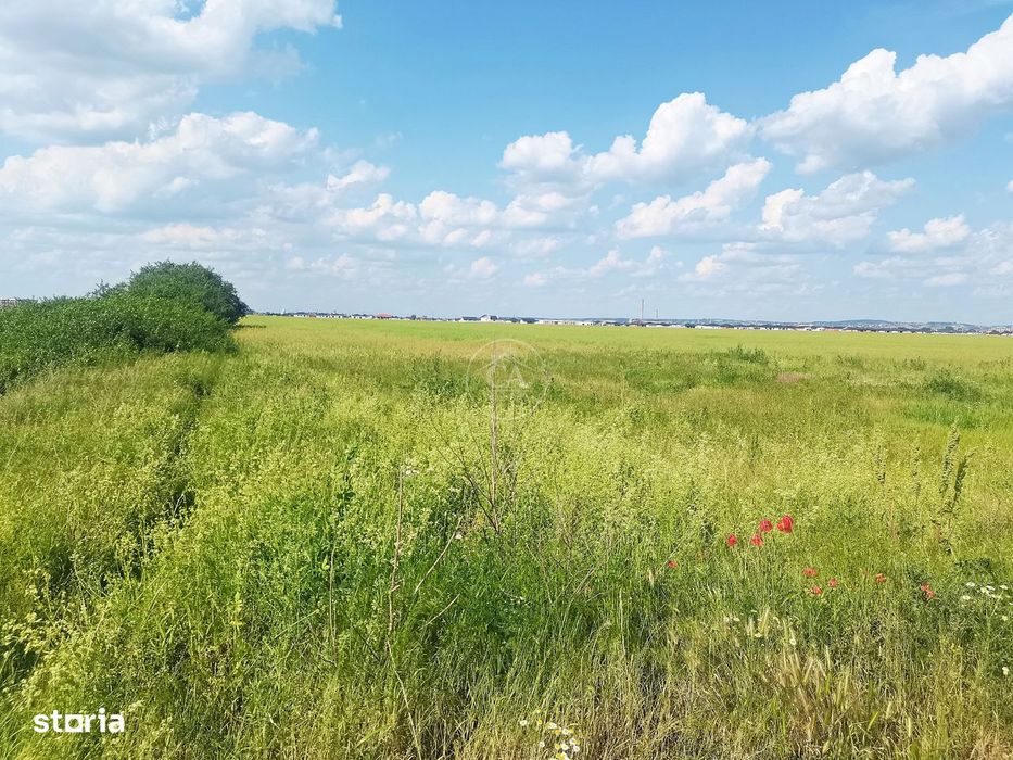 Teren intravilan de vânzare in Santandrei, Bihor