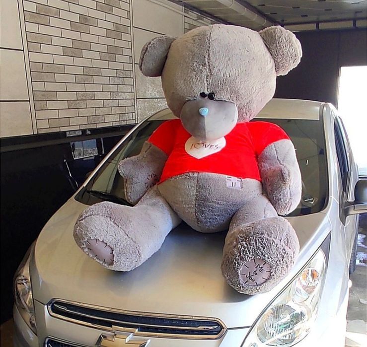 Teddy Ayiq teddy Teddy Mishka Ayiqlar kotta ayiq