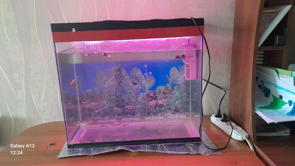 Аквариум сатылады