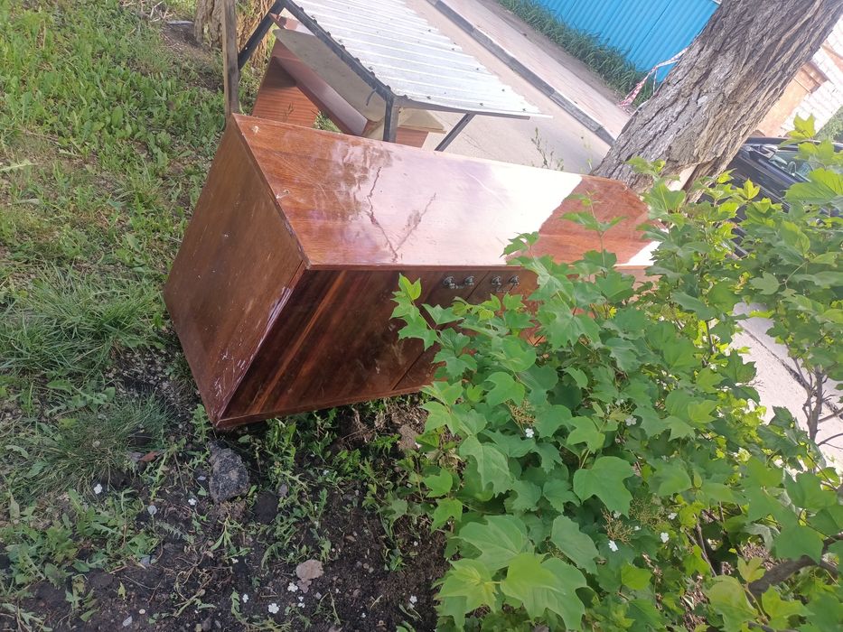 Отдам даром срочно