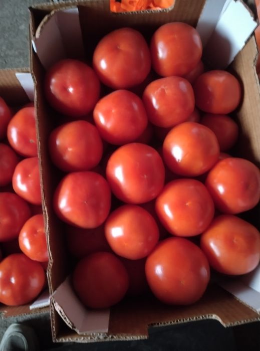 зеленчуци и плодове