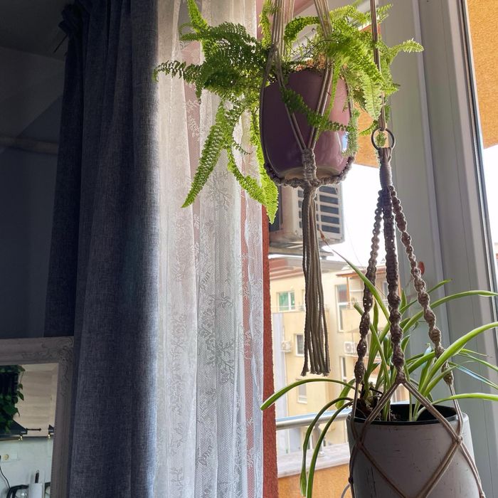 Артистичен УЮТЕН ДОМ в София за дългосрочен наем