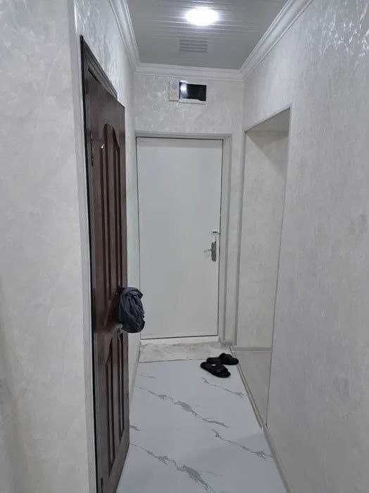 2/1/5 Ялангач Буз-2 Тараканчик