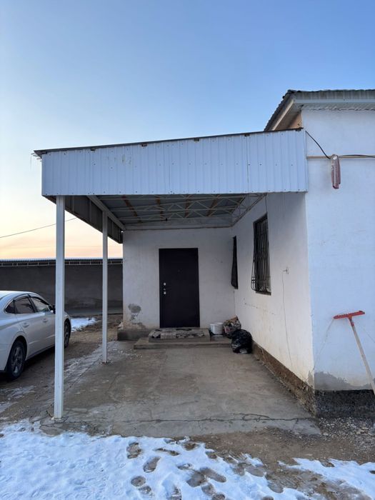 Батыр уй сатылады