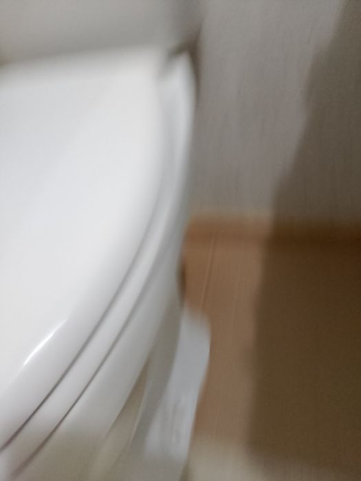 Унитаз в рабоч состоян