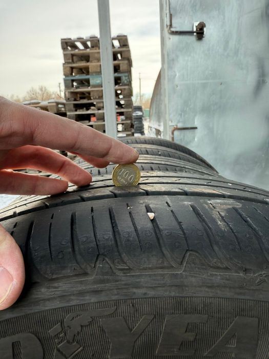 Летние шины Goodyear 225/55/19