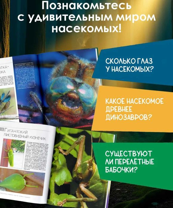 Книга про насекомых