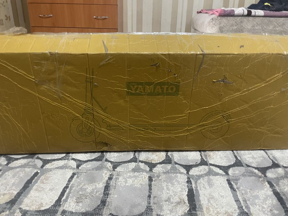 Электра  самакат