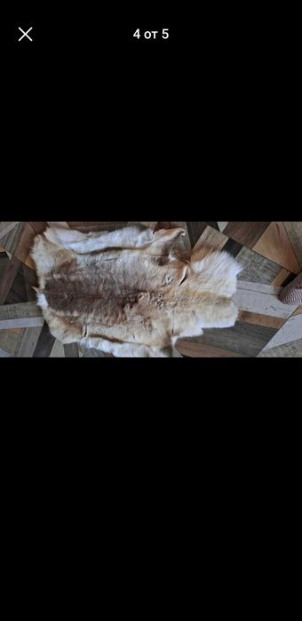 Кожа от северен елен