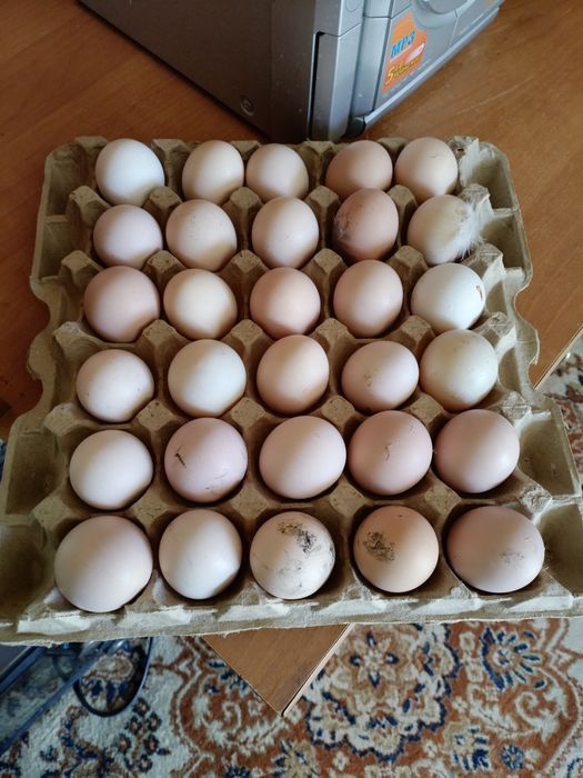Продам домашние яйца по 80