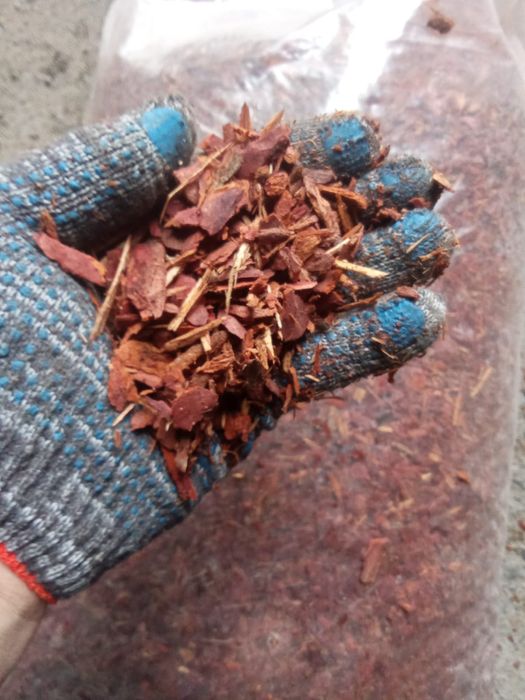 Кора лиственницы оптом