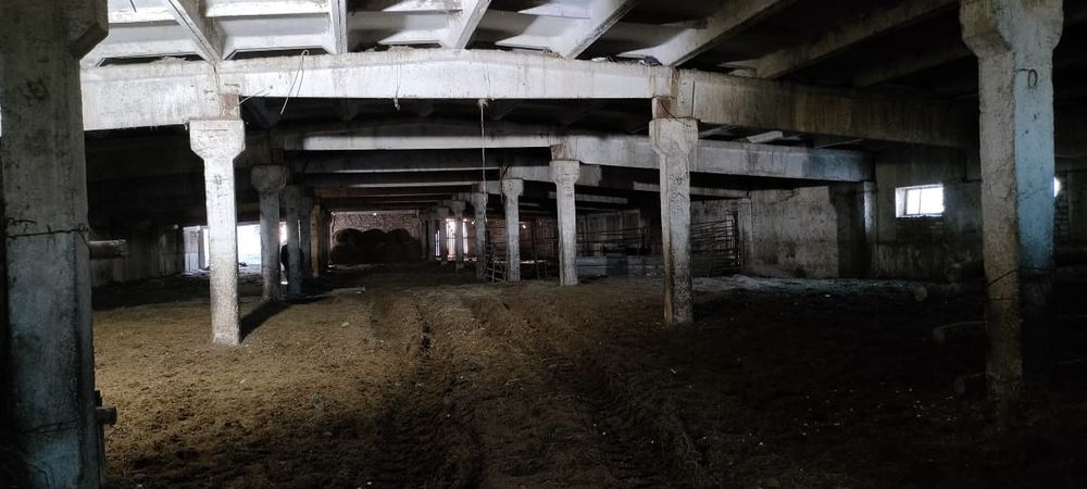 Ферма в Бескарагайском районе