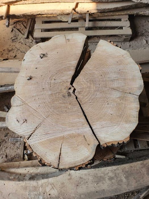 Сухи шайби от ясен