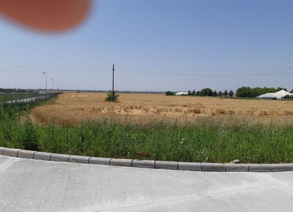 Teren strada Henry Ford