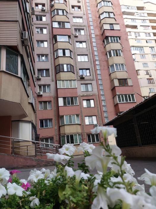 1-но комнатная 50 кв торг есть