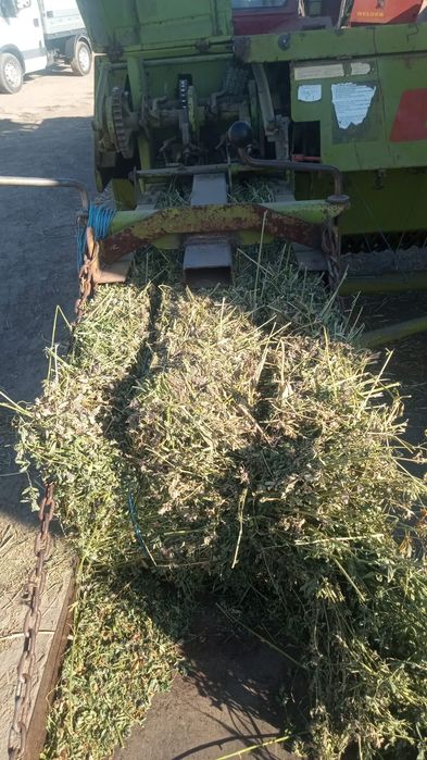 De vânzare lucernă