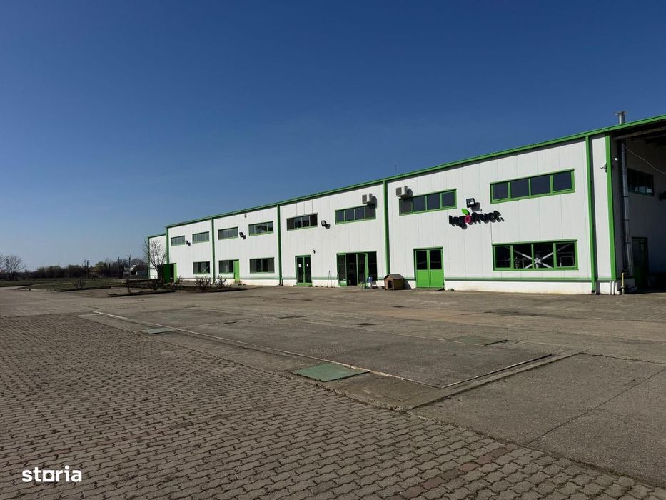 Hala productie/ depozitare frigorifica in Timisoara