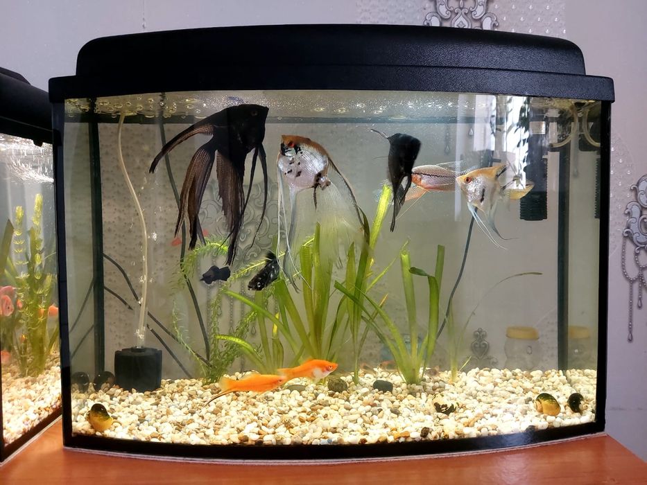 Аквариум  2 шт 25литр  40литр