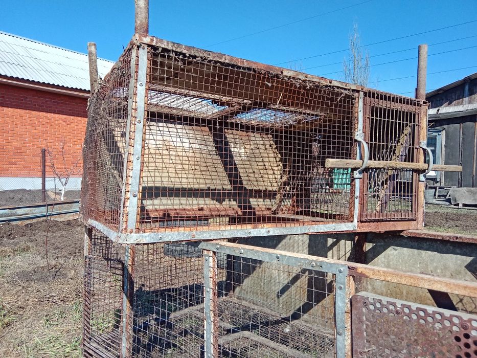 Клетки для кроликов