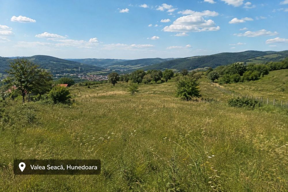 Vand 5000 mp teren in Hunedoara
