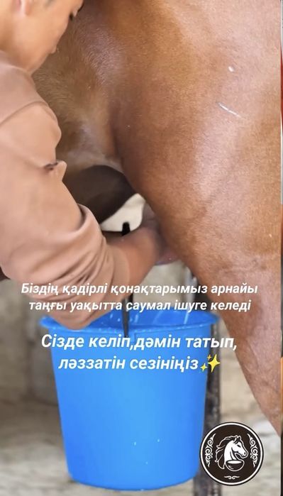 САУМАЛ көзбе көз