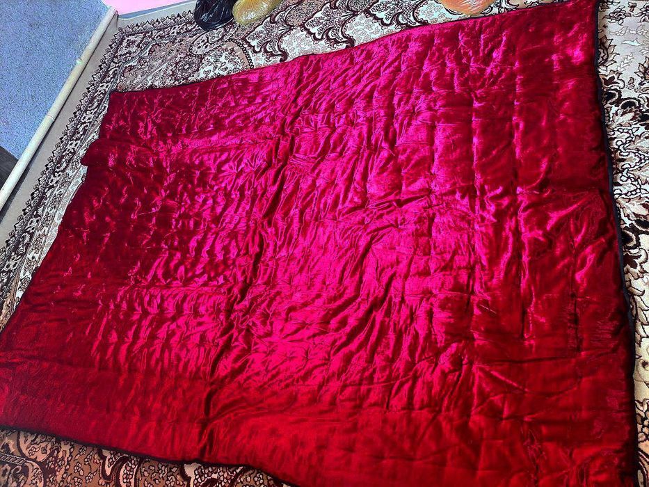 Katta eshak yigitning qolini silkitadi