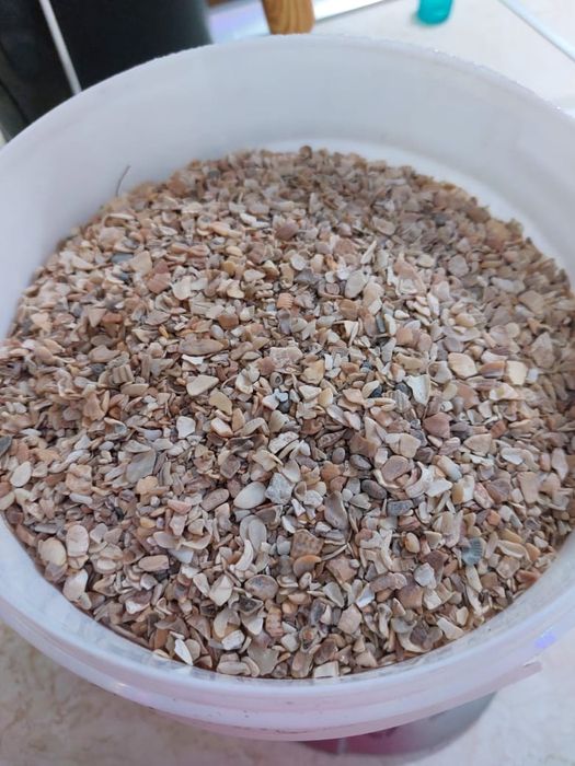 Ракушка для кур кормовая