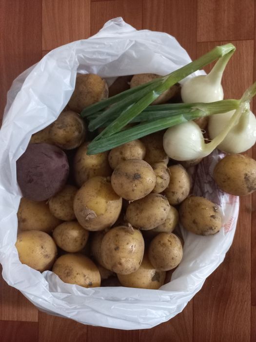 Продам дачу с домиком в районе Кривое озеро