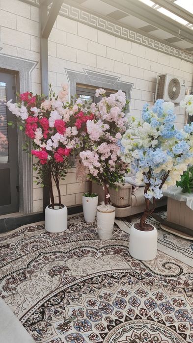 Суний дарахтлар гуллар арзон нархларда от 50