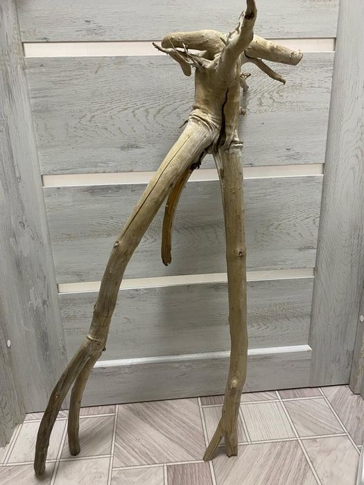 Коряги аквариумные!