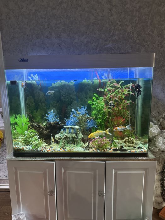 Продаемся аквариум 600 литров