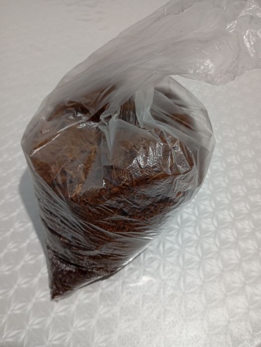 Улитки ахатина..