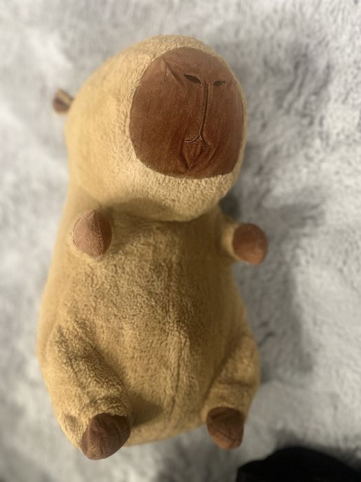 Plus Capibara cu paturica